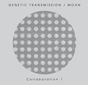 Genetic Transmission / Moan - Collaboration 1