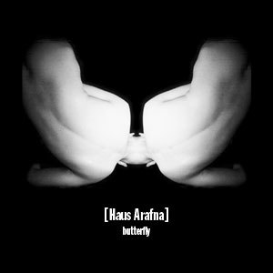 Haus Arafna - Butterfly