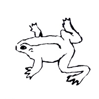 Grundik and Slava - Frogs