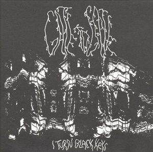 Gate To Gate - I Turn Black Keys