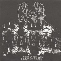 Gate To Gate - I Turn Black Keys