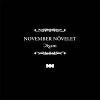 November Növelet - Magic
