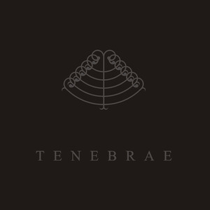 Majdanek Waltz / Sal Solaris - Tenebrae