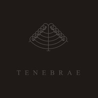 Majdanek Waltz / Sal Solaris - Tenebrae