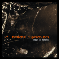 K2 | Positive Adjustments - Sprouts And Memories