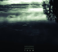 Desiderii Marginis - Thaw