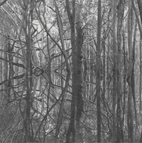 Artificial Memory Trace - Ama_Zone1: Black Waters