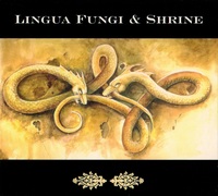 Lingua Fungi & Shrine - Strange Growths / Wander