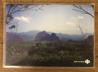 Dave Phillips - Field Recordings